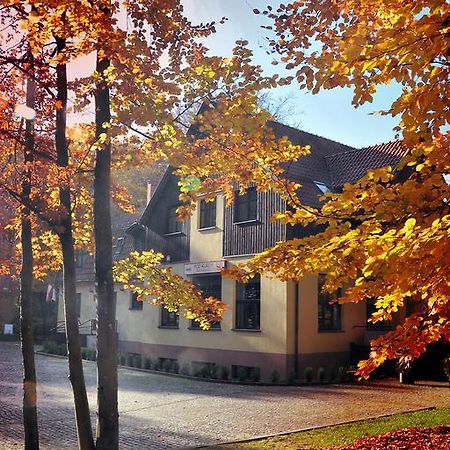 Willa Strzelnica Hotel Косцежина Екстериор снимка