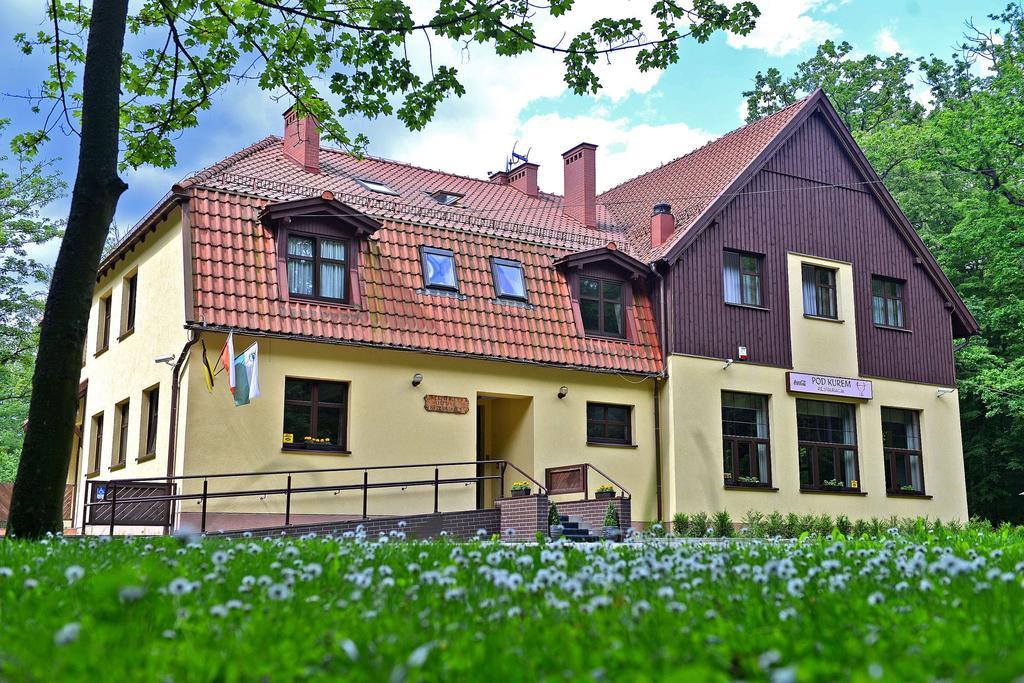 Willa Strzelnica Hotel Косцежина Екстериор снимка