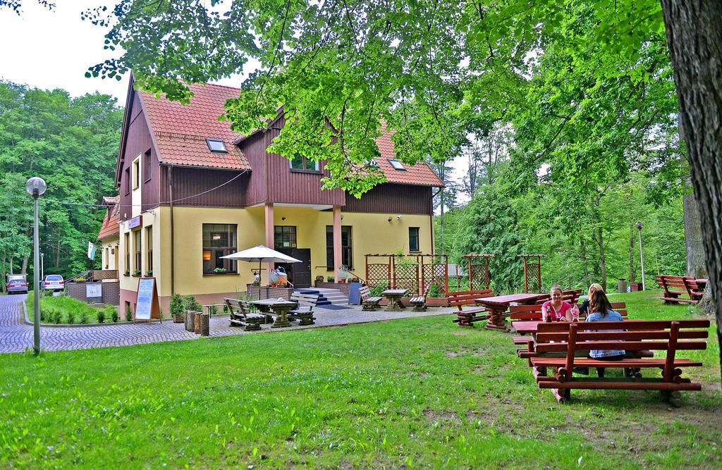 Willa Strzelnica Hotel Косцежина Екстериор снимка