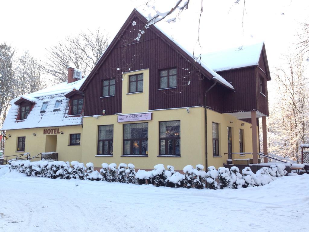 Willa Strzelnica Hotel Косцежина Екстериор снимка